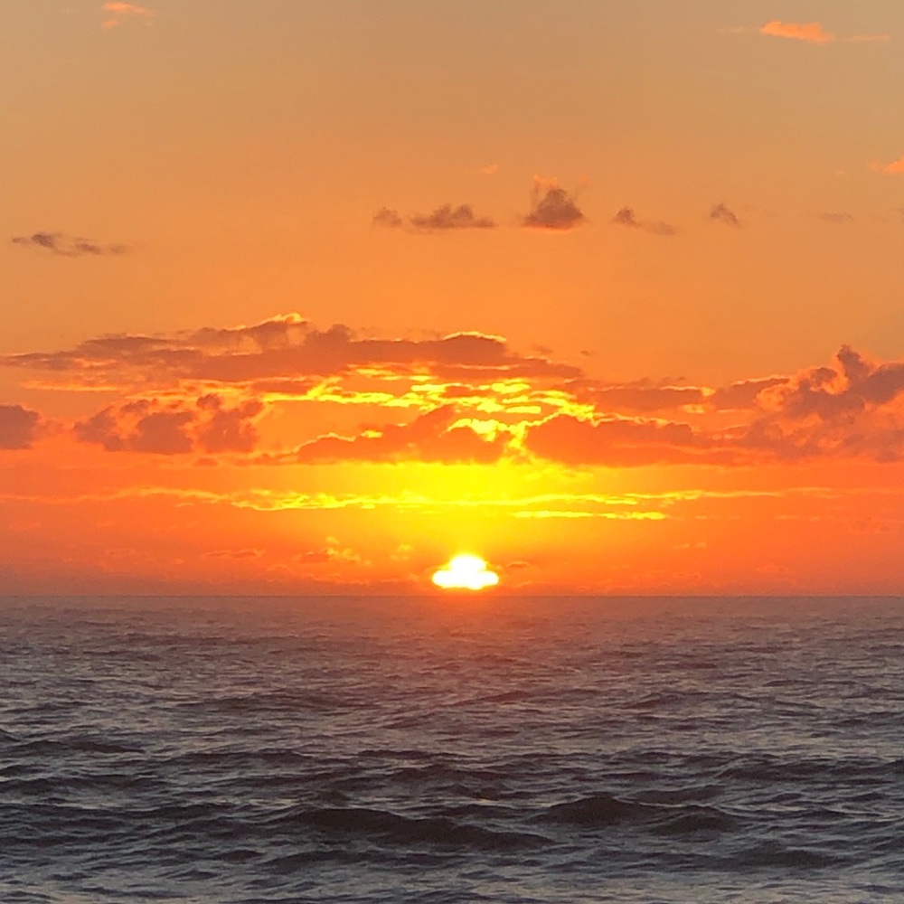 Meet your Posher, Anne